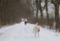 /album/a2010/img-4659-1-jpg/
